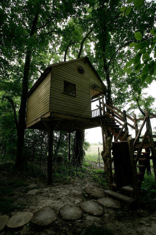 La Cabane Aux Secrets - Au Milieu De Nulle Part Outines الغرفة الصورة